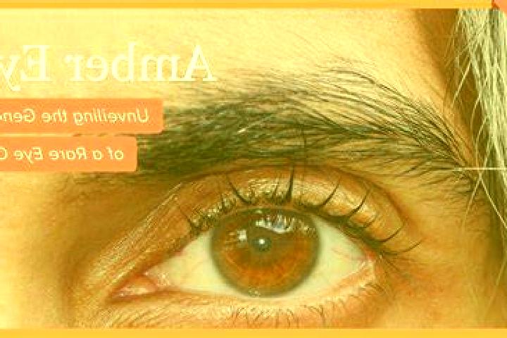 escort Itaoca