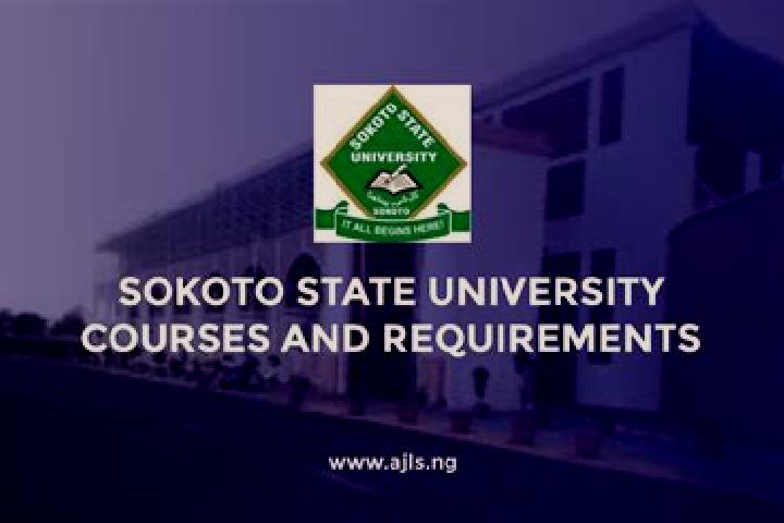 escort Sokoto