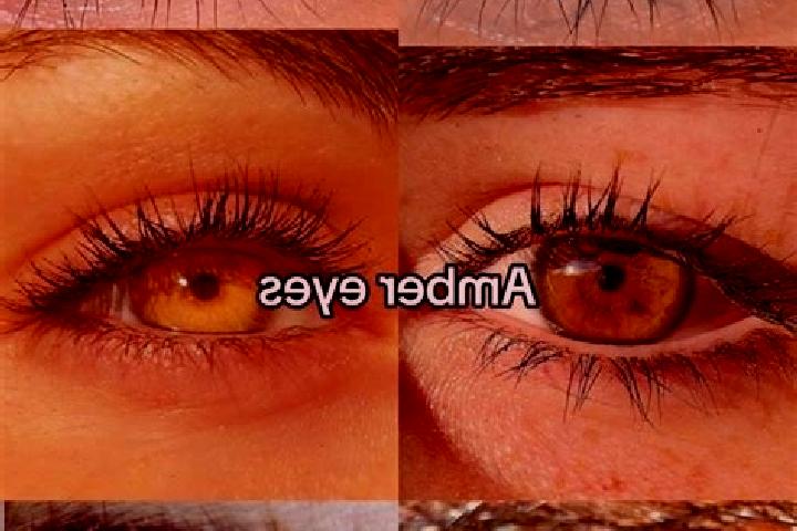 Olivia, 33, a chestnut grey-eyed middle eastern companion based in Orchard Mesa. Offering Travel Companion, A-Level, Massage. Available for incall and outcal...